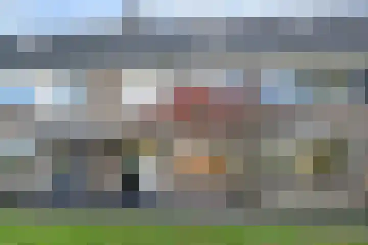 Peuleyen 46 Waddinxveen thumbnail 48
