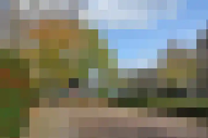 Peuleyen 46 Waddinxveen thumbnail 51