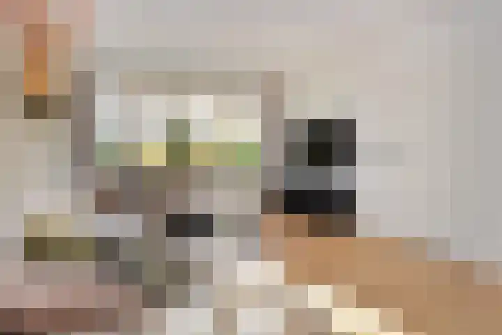 Peuleyen 46 Waddinxveen thumbnail 6