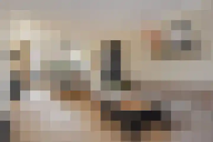 Peuleyen 46 Waddinxveen thumbnail 8