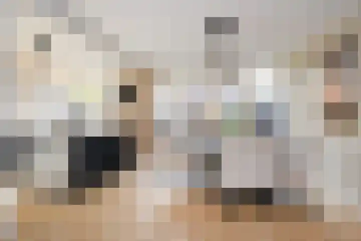 Peuleyen 46 Waddinxveen thumbnail 9