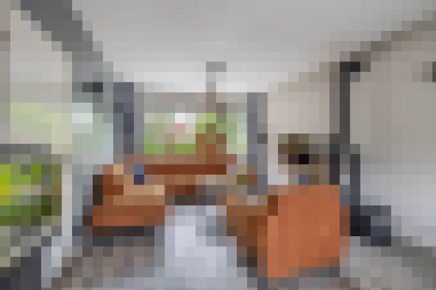 Peuleyen 8 Waddinxveen thumbnail 11