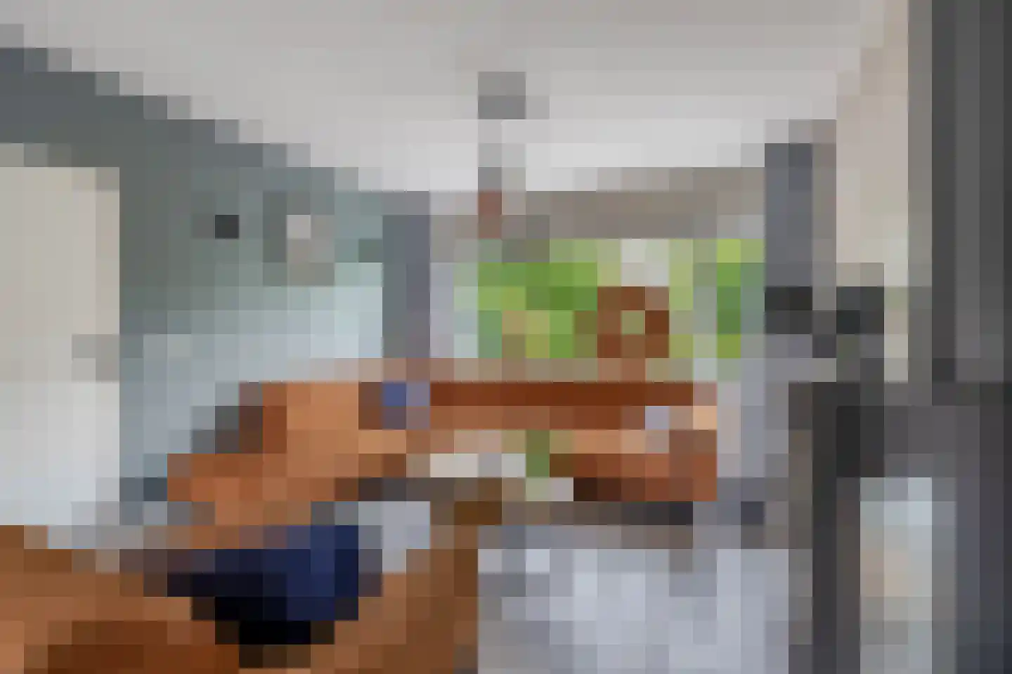Peuleyen 8 Waddinxveen thumbnail 12