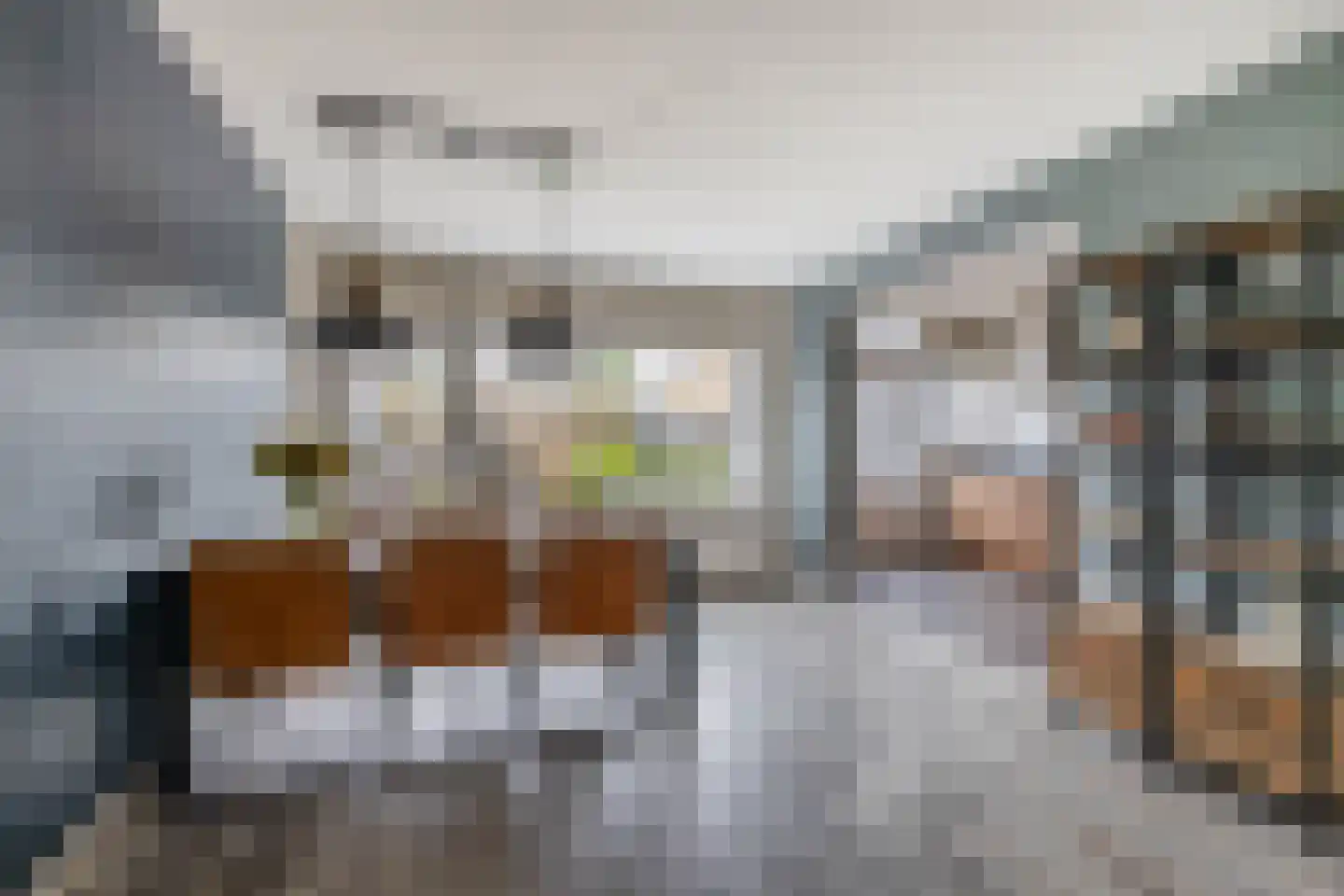 Peuleyen 8 Waddinxveen thumbnail 14