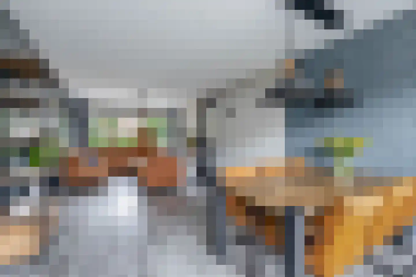 Peuleyen 8 Waddinxveen thumbnail 15