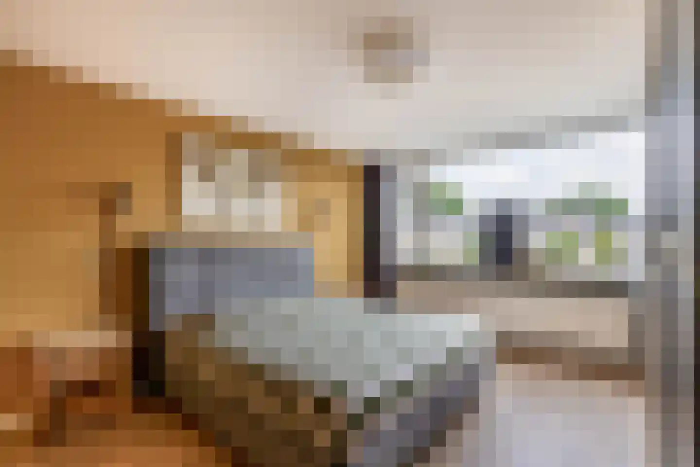 Peuleyen 8 Waddinxveen thumbnail 24