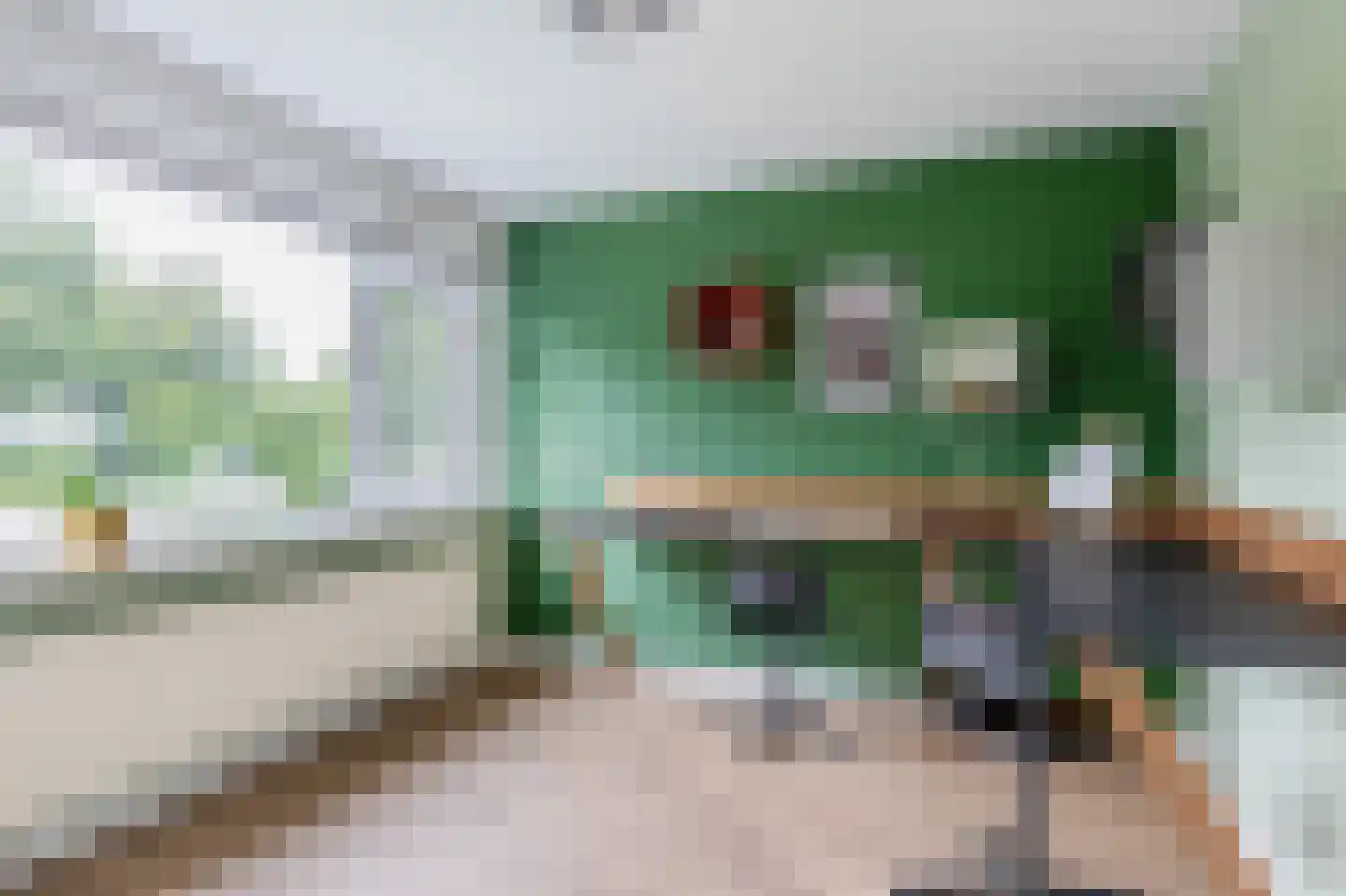 Peuleyen 8 Waddinxveen thumbnail 26