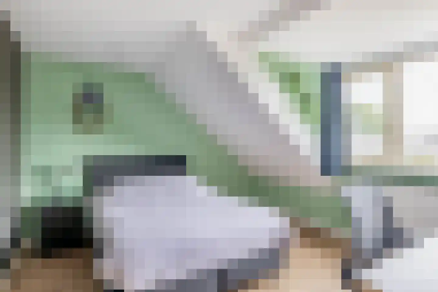 Peuleyen 8 Waddinxveen thumbnail 30