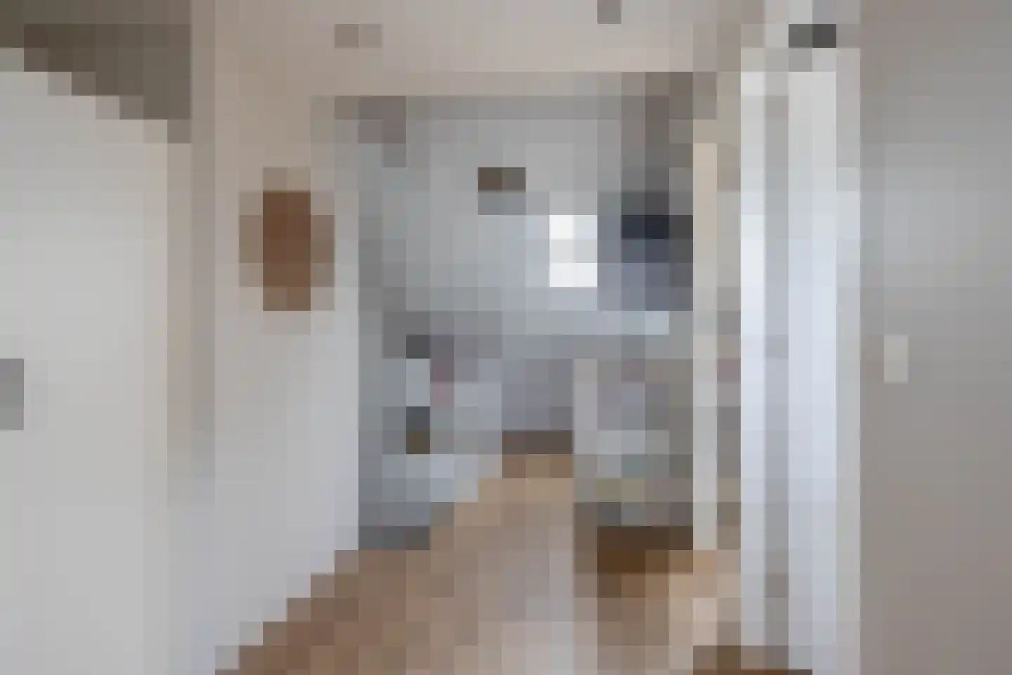Peuleyen 8 Waddinxveen thumbnail 32
