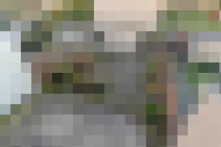 Peuleyen 94 Waddinxveen thumbnail 37