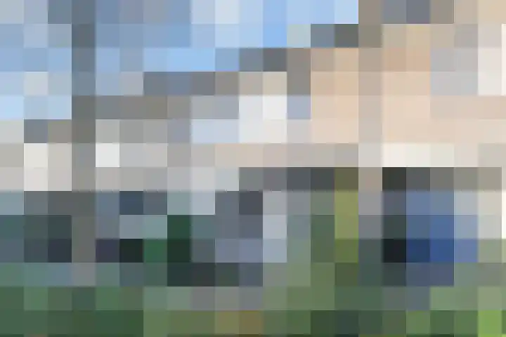 Peuleyen 94 Waddinxveen thumbnail 38