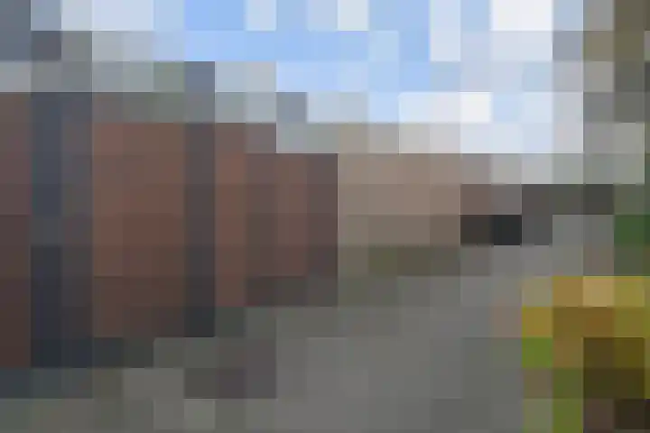 Peuleyen 94 Waddinxveen thumbnail 43