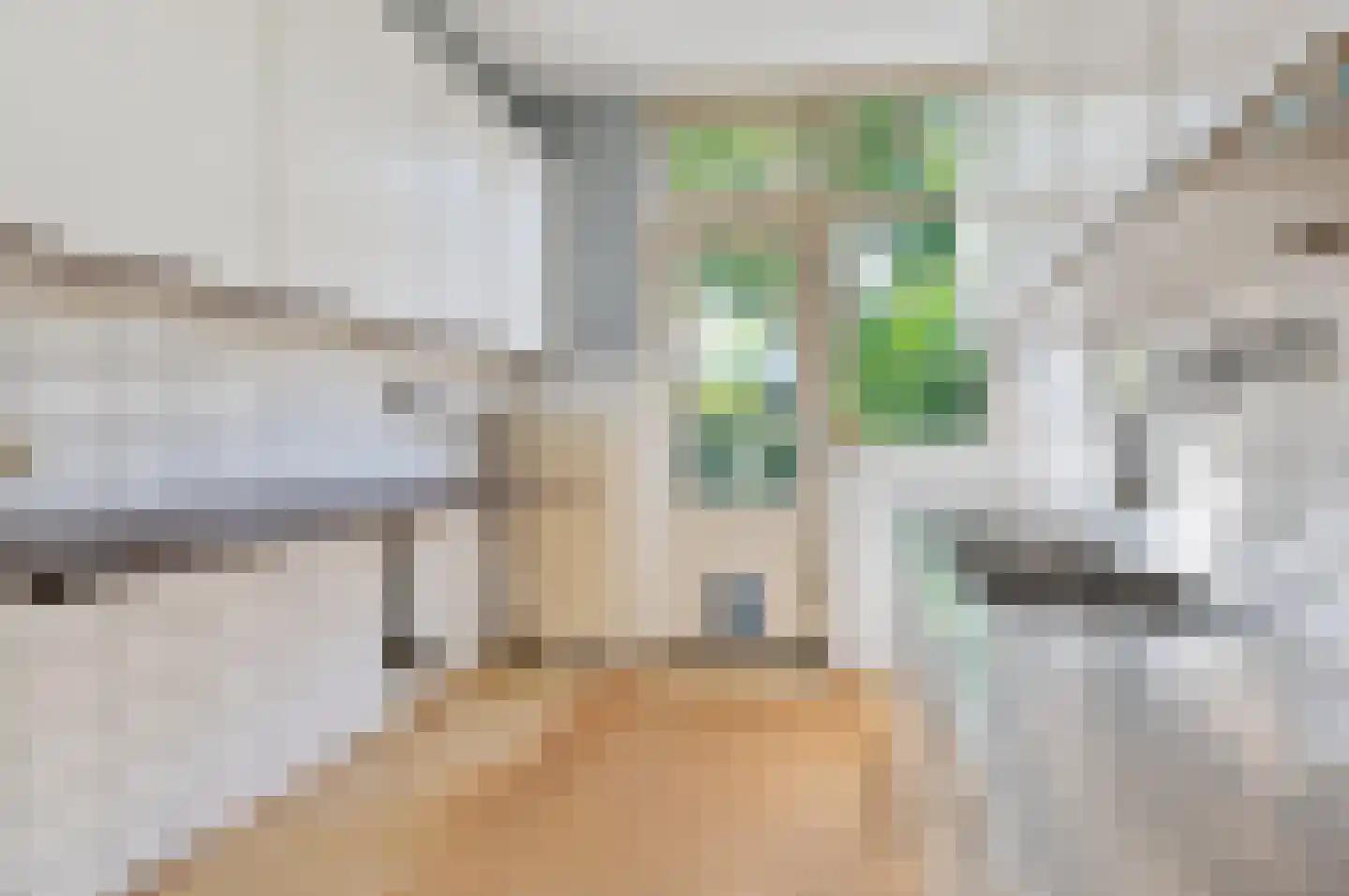 Peuleyen 98 Waddinxveen thumbnail 12