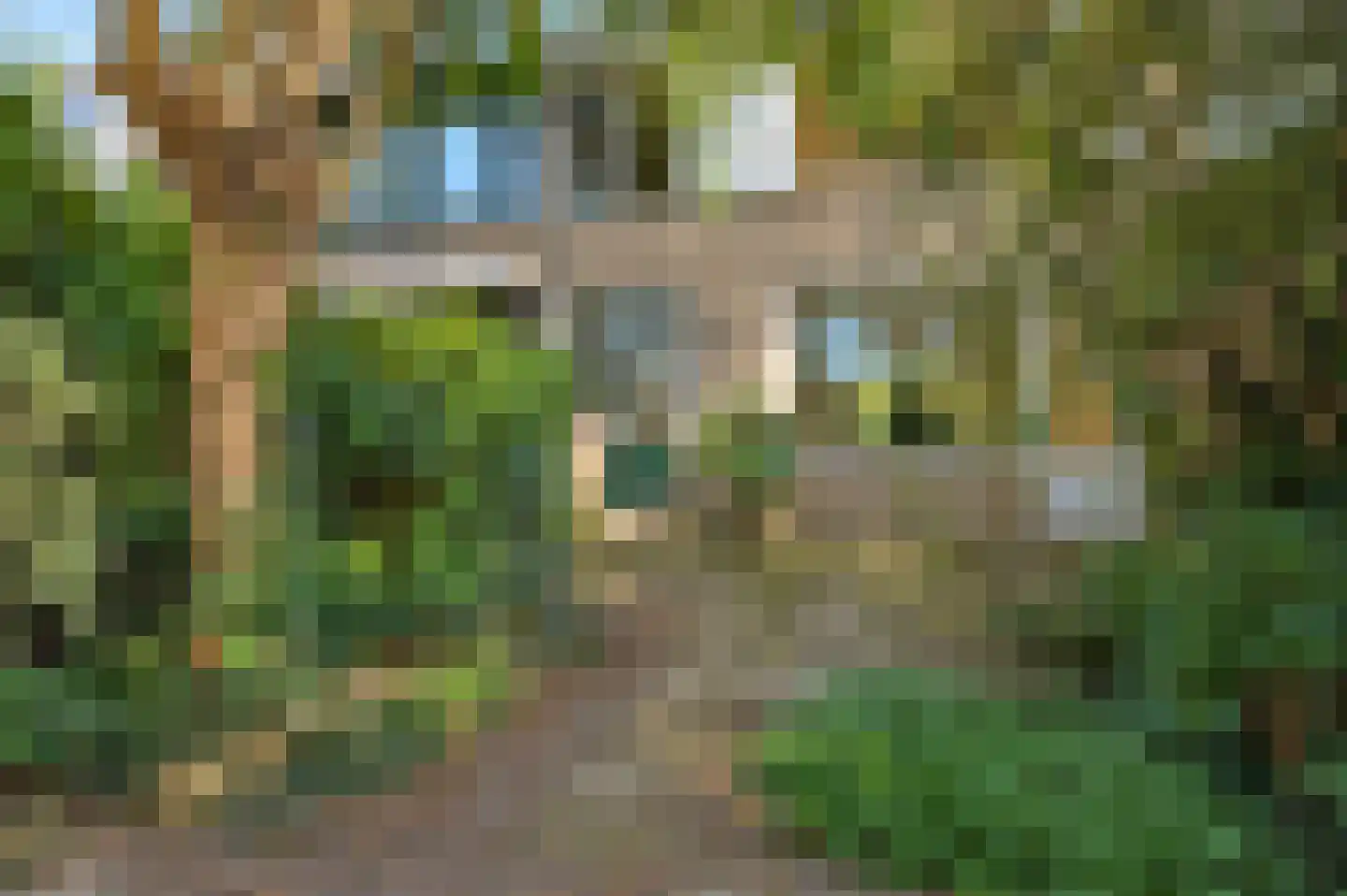 Peuleyen 98 Waddinxveen thumbnail 33