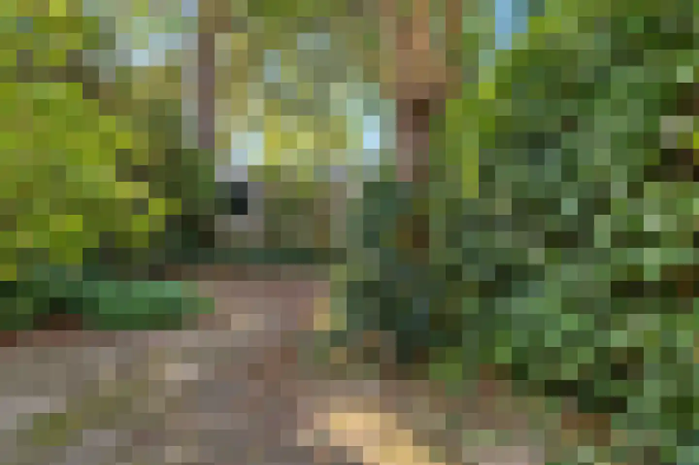 Peuleyen 98 Waddinxveen thumbnail 34