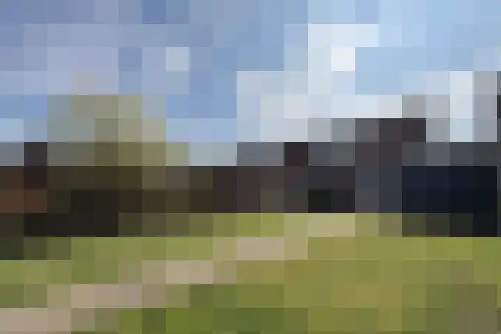 Peurssensstraat 6 Aardenburg thumbnail 26