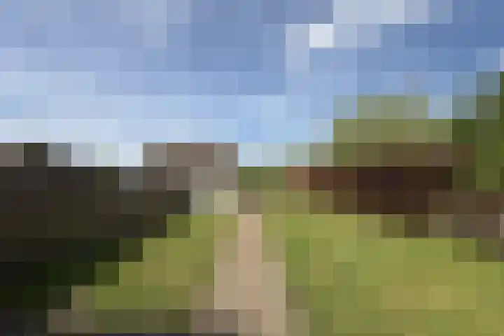 Peurssensstraat 6 Aardenburg thumbnail 28