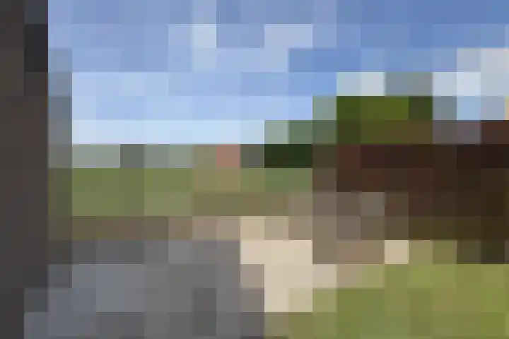 Peurssensstraat 6 Aardenburg thumbnail 31