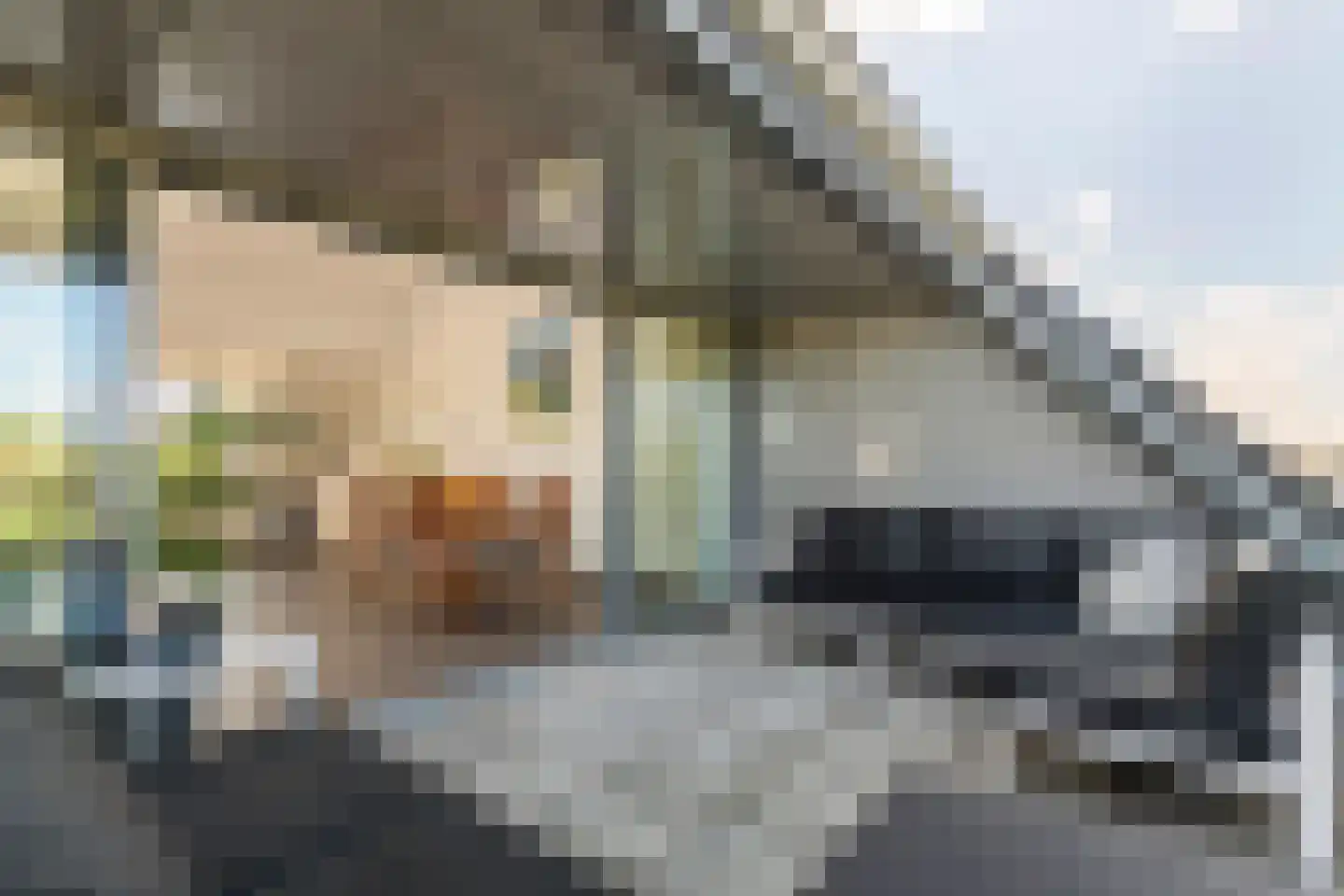 Peursumseweg 3 M Giessenburg thumbnail 21