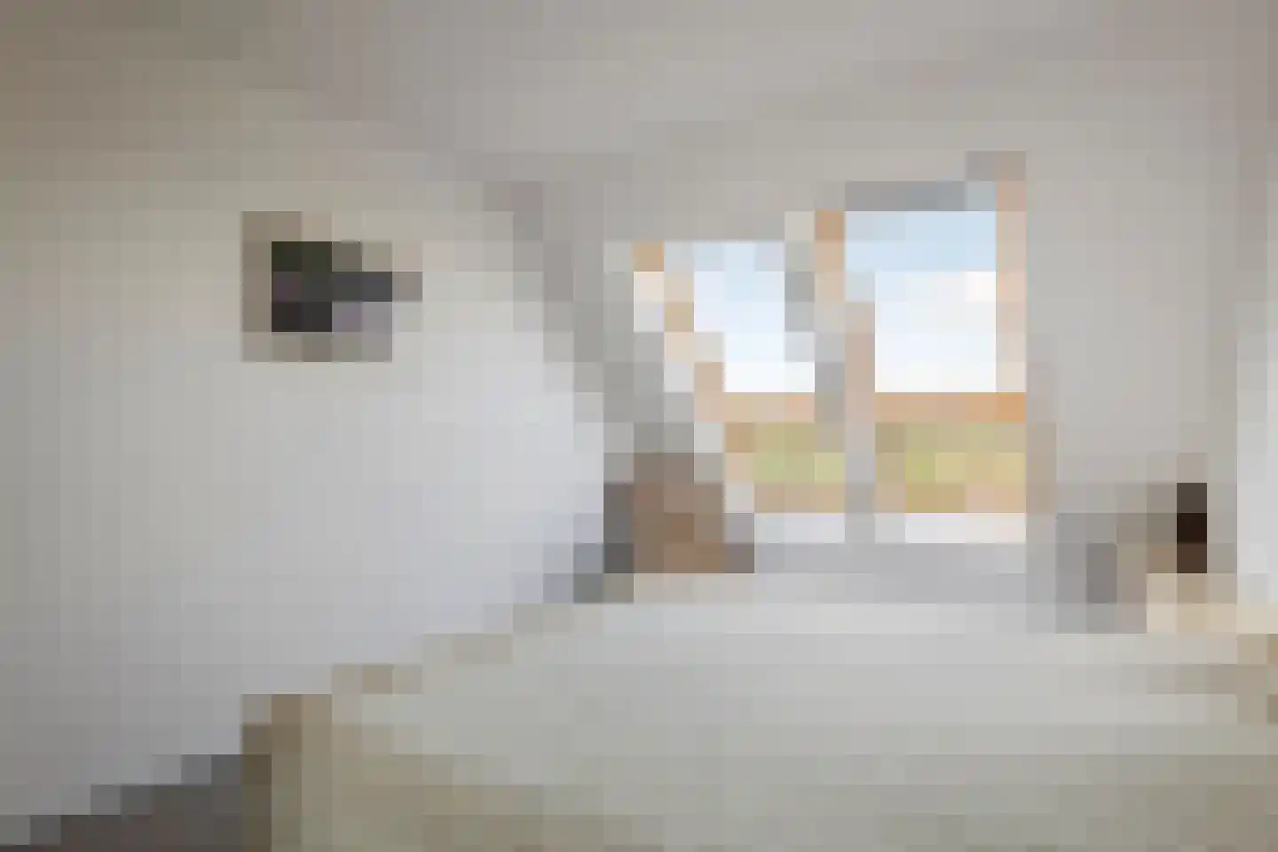 Peursumseweg 3 M Giessenburg thumbnail 30