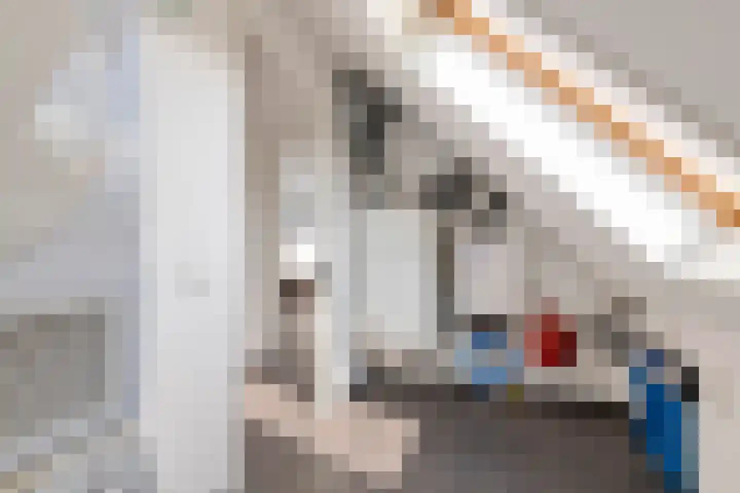 Peursumseweg 3 M Giessenburg thumbnail 36