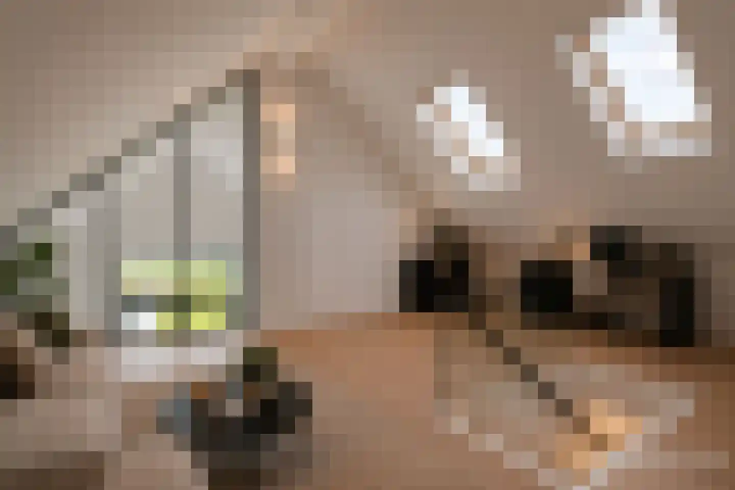 Peursumseweg 3 M Giessenburg thumbnail 38