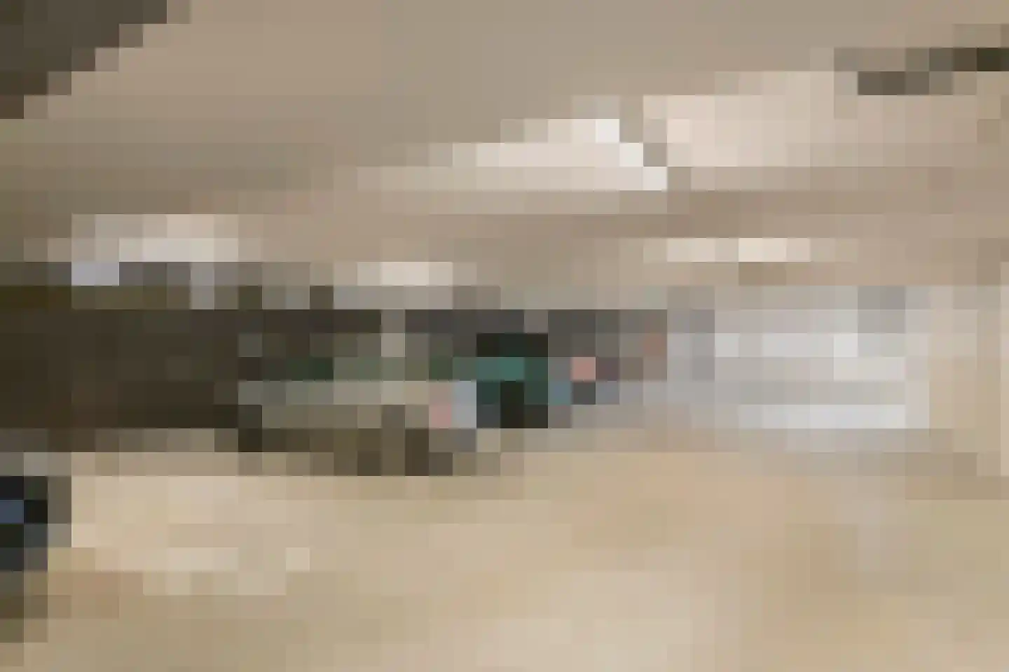 Peursumseweg 3 M Giessenburg thumbnail 47