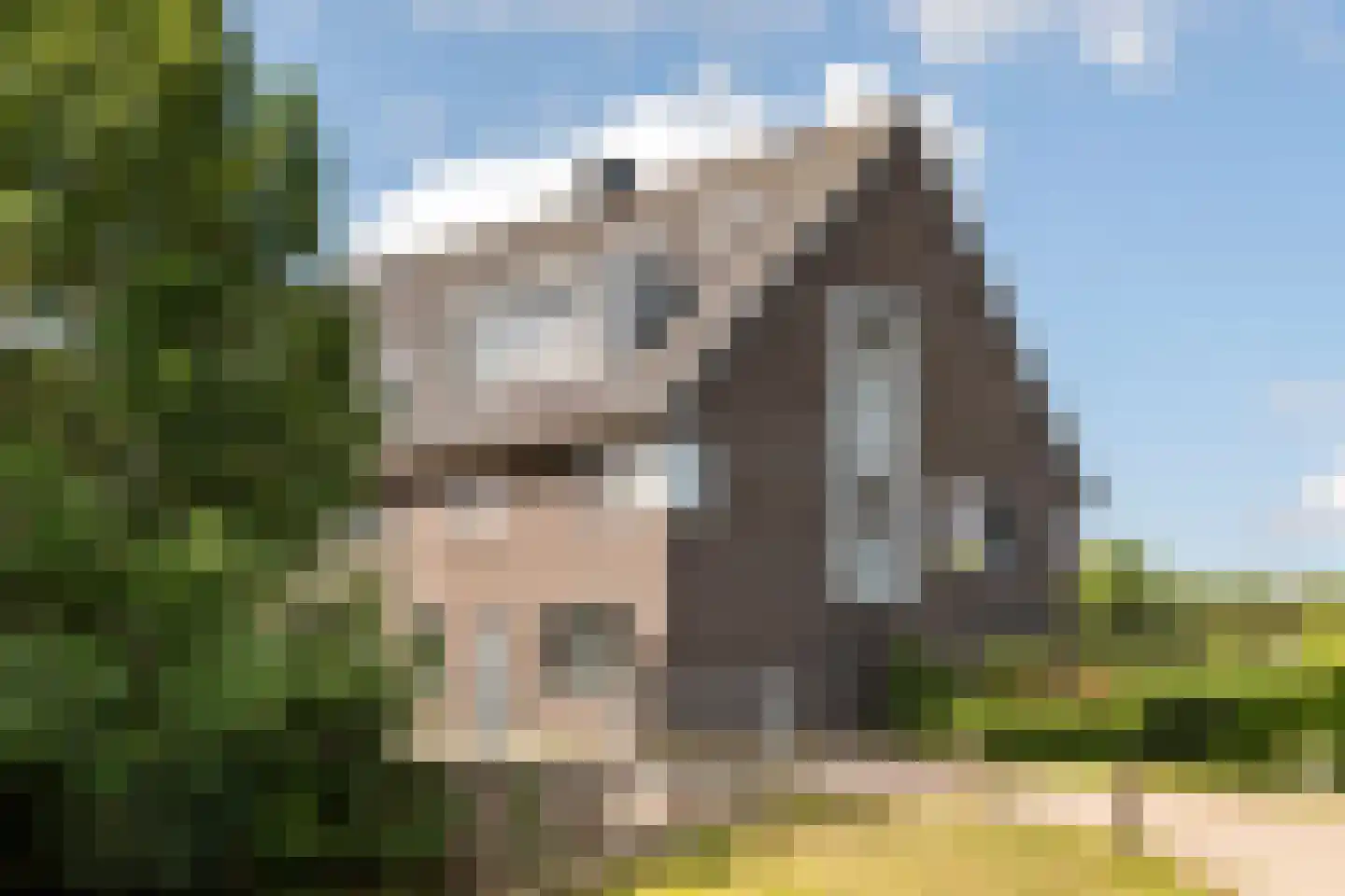 Peursumseweg 3 M Giessenburg thumbnail 49