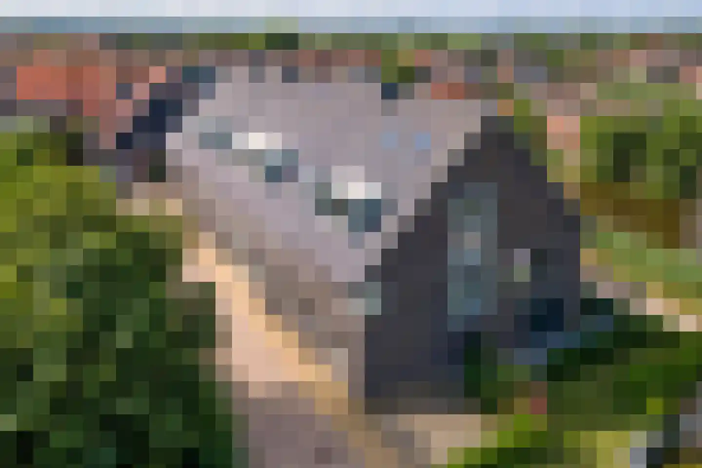 Peursumseweg 3 M Giessenburg thumbnail 50