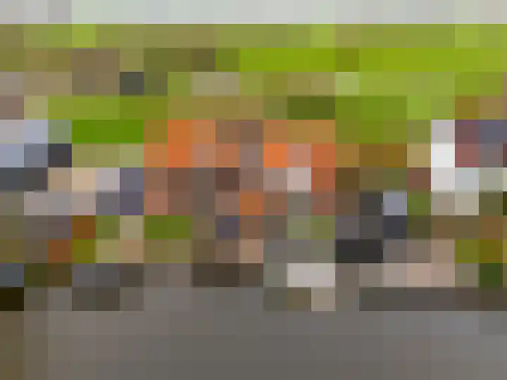 Peursumseweg 76 Giessenburg thumbnail 47