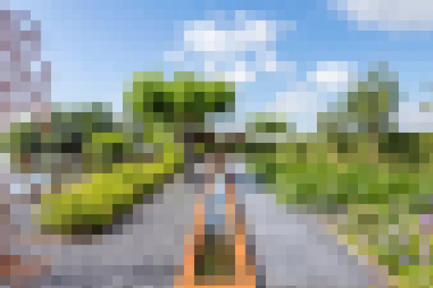 Peursumseweg 92 Giessenburg thumbnail 26