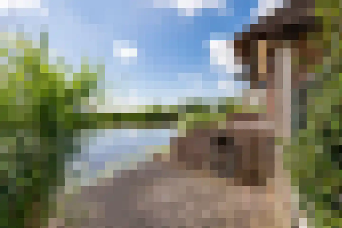 Peursumseweg 92 Giessenburg thumbnail 30