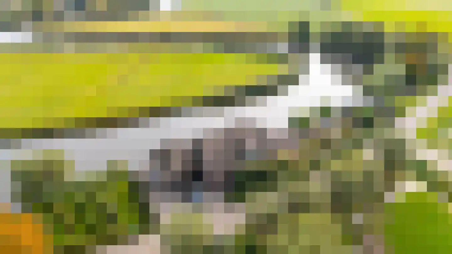 Peursumseweg 92 Giessenburg thumbnail 33