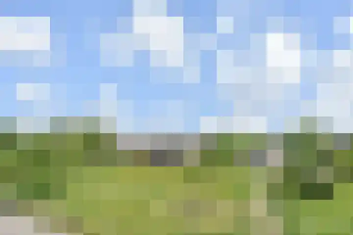 Peursumstraat 13 Zoetermeer thumbnail 33