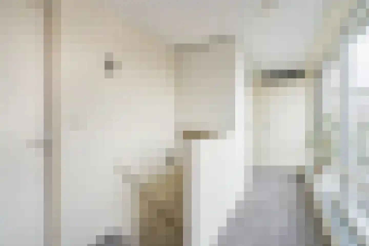 Peursumstraat 55 Zoetermeer thumbnail 32