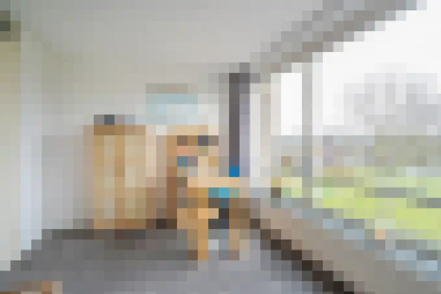 Peursumstraat 55 Zoetermeer thumbnail 34