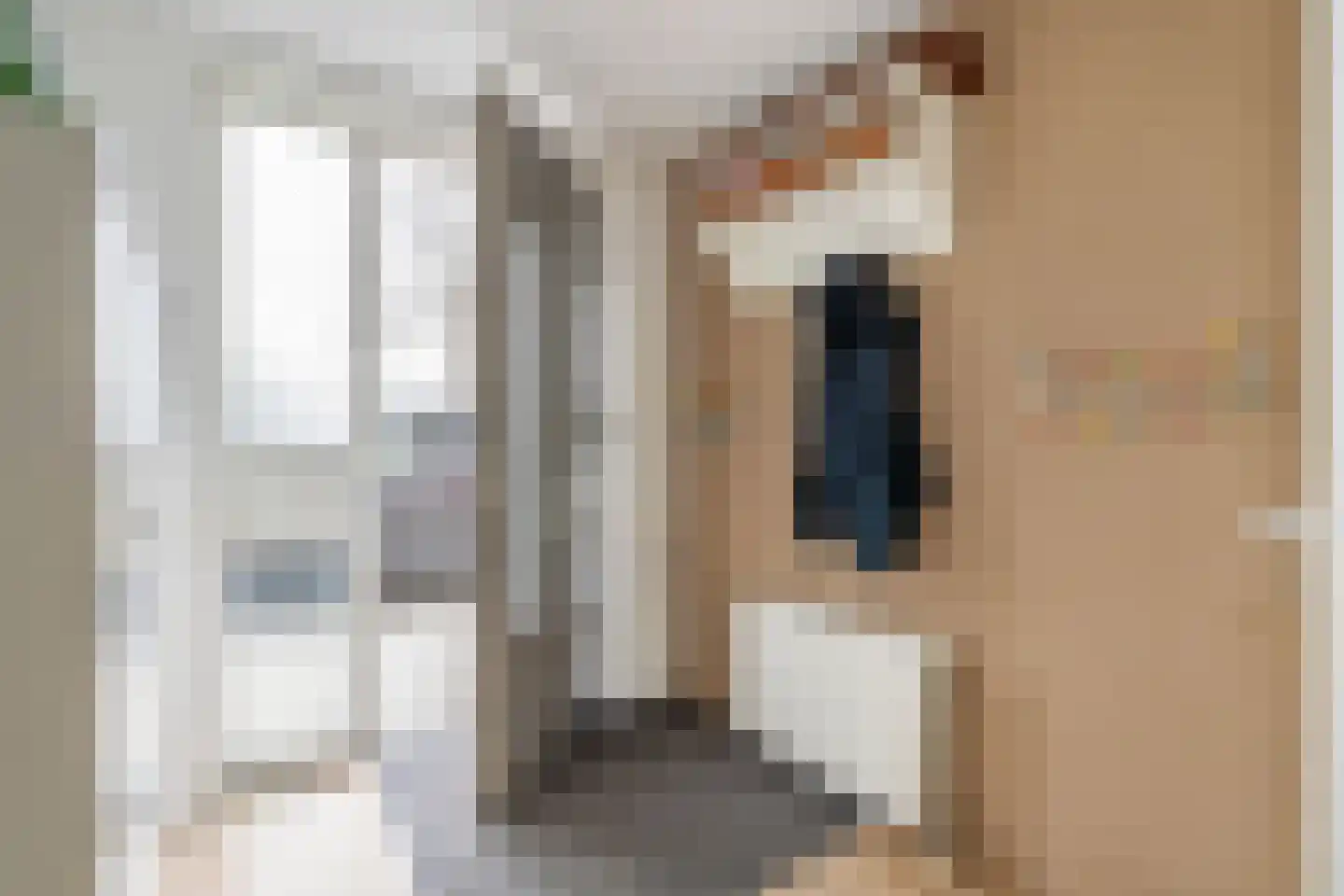 Peursumstraat 55 Zoetermeer thumbnail 40