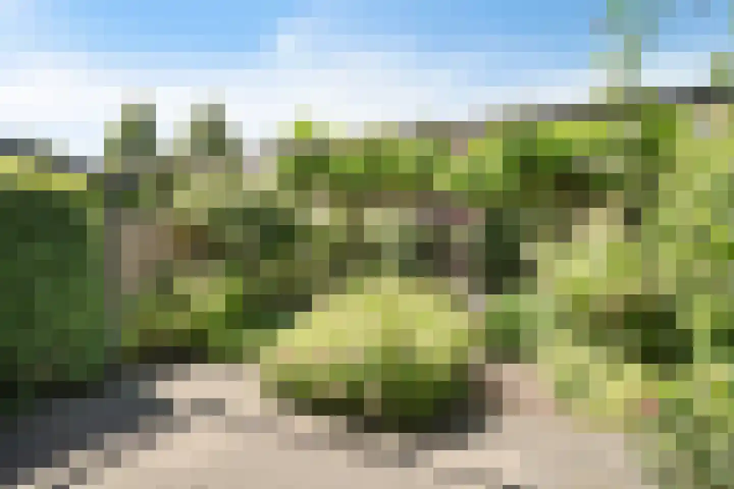 Peursumstraat 77 Zoetermeer thumbnail 23