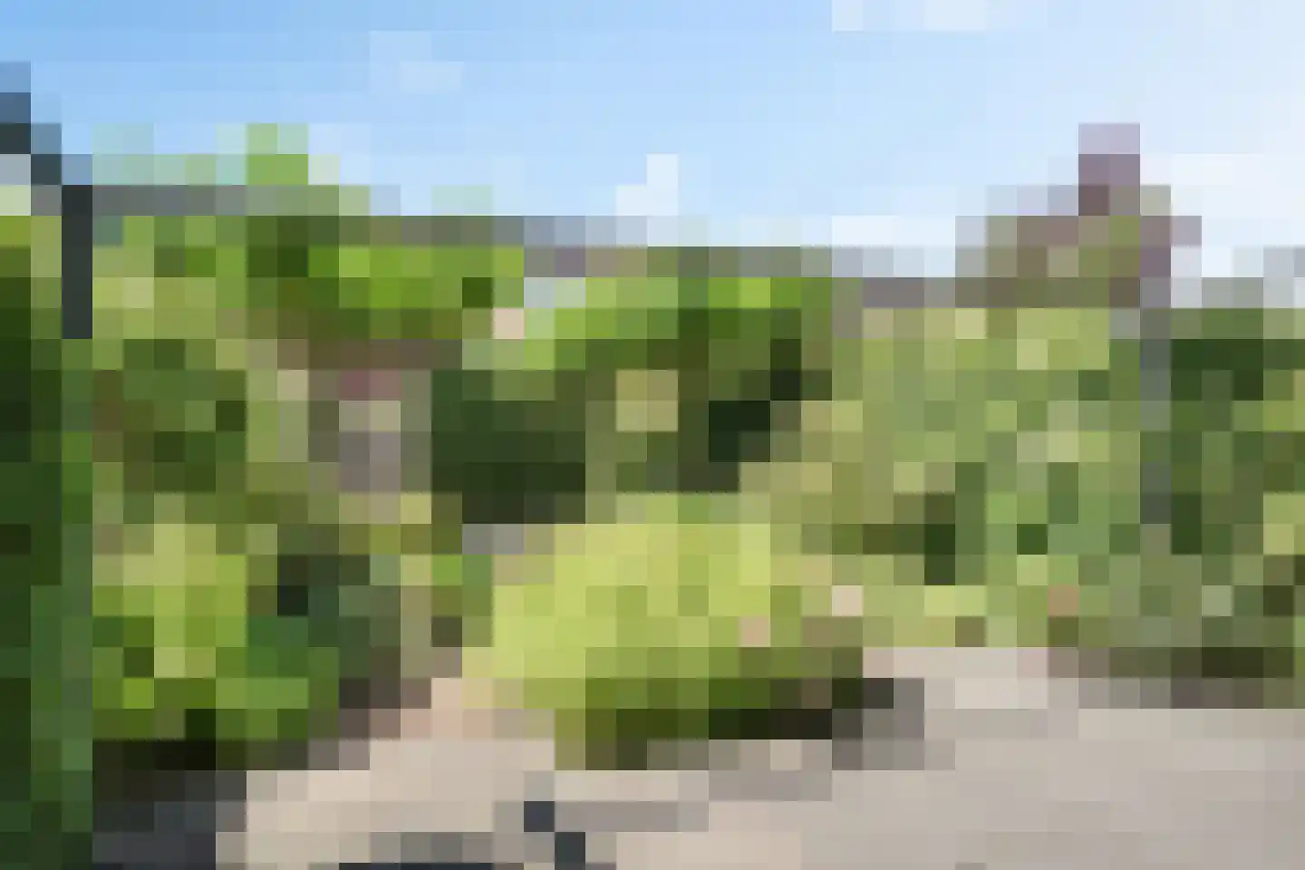 Peursumstraat 77 Zoetermeer thumbnail 24
