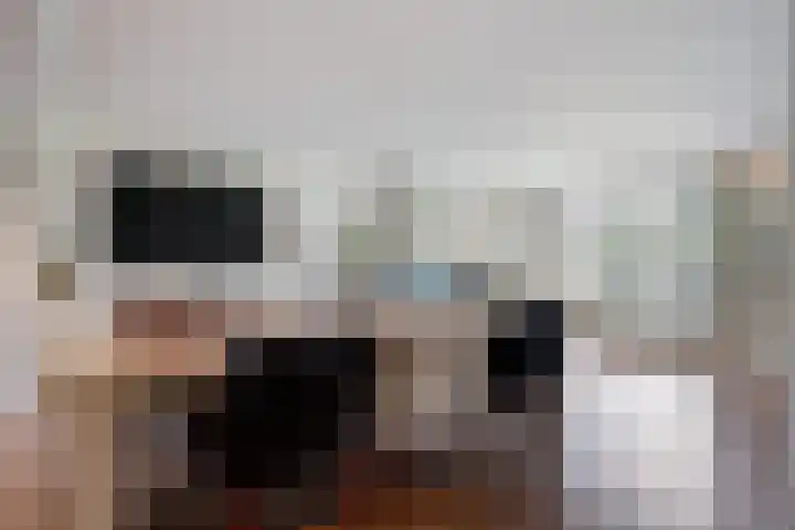 Peursumstraat 93 Zoetermeer thumbnail 36