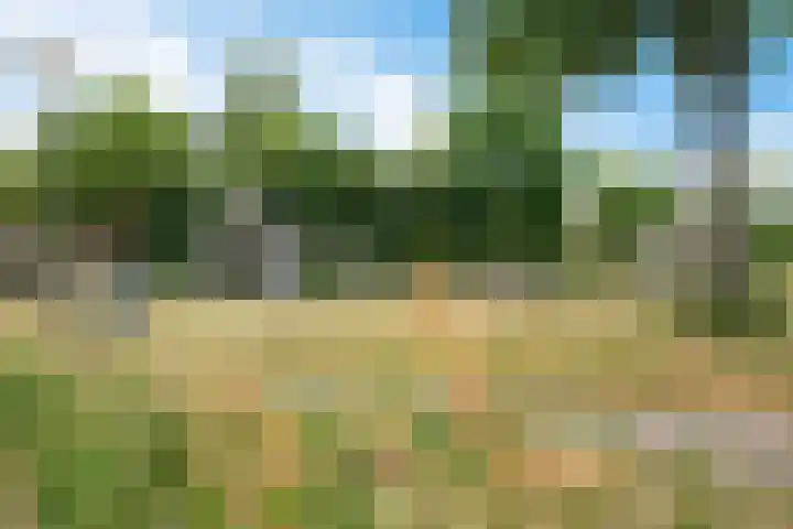 Peursumstraat 93 Zoetermeer thumbnail 67