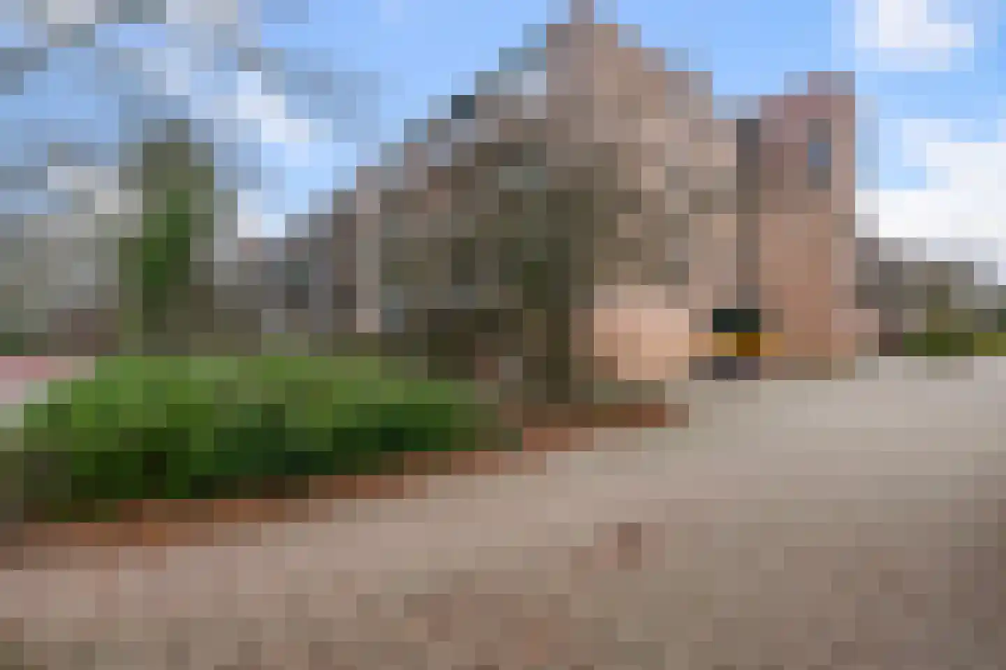 Peursumstraat 96 Amsterdam thumbnail 27