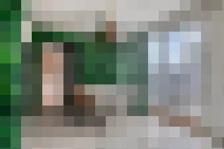 Peuterdijk 15 Herkingen thumbnail 11