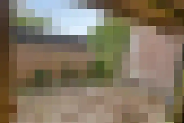 Peuterdijk 15 Herkingen thumbnail 18