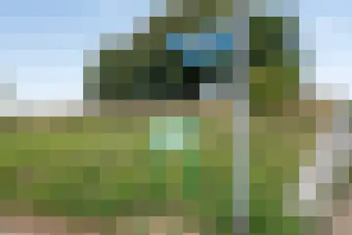 Peuterdijk 15 Herkingen thumbnail 20
