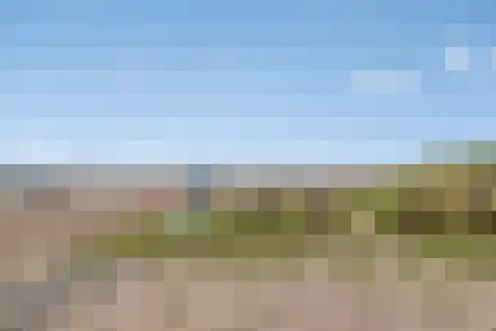 Peuterdijk 15 Herkingen thumbnail 21