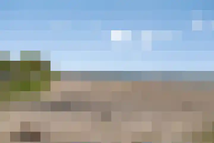Peuterdijk 15 Herkingen thumbnail 22