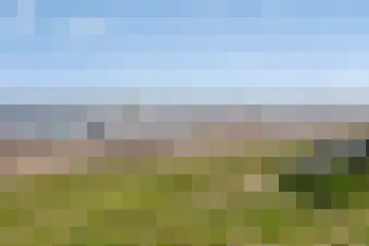 Peuterdijk 15 Herkingen thumbnail 23