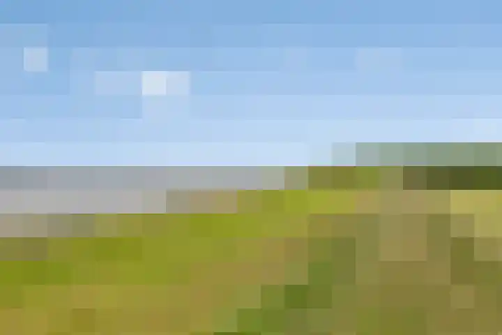 Peuterdijk 15 Herkingen thumbnail 24