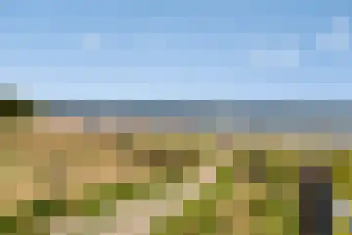 Peuterdijk 15 Herkingen thumbnail 25